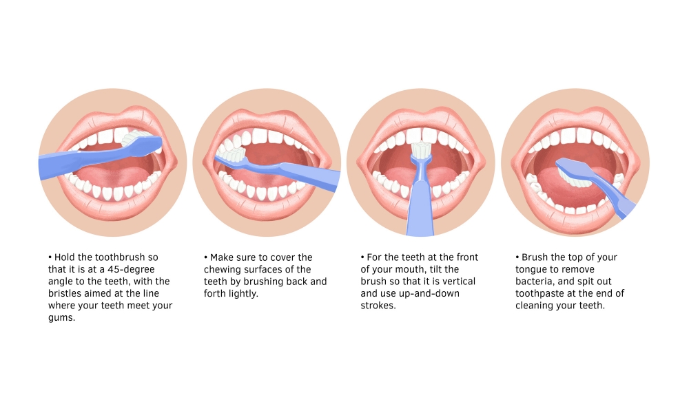 How to brush your teeth